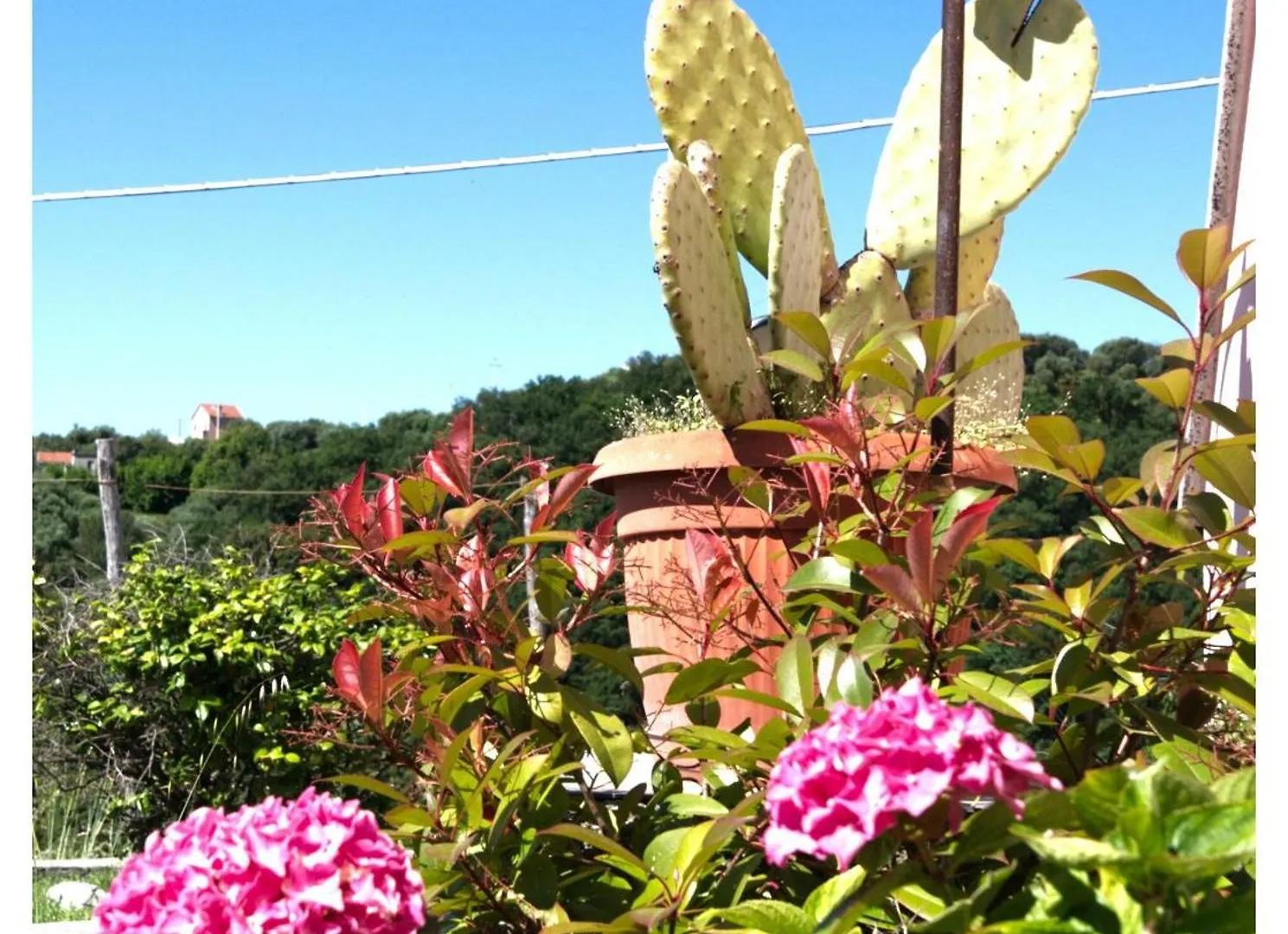 Villa Zafferano Suites - Basilico Celle Ligure Apartment